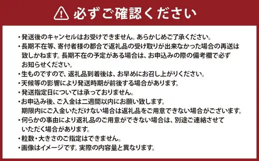 【2027年1月下旬発送開始】1年に1度だけ!葉付きで味わうサラダ玉ねぎ／2kg（優品・サイズ混合）＜栽培期間中は無農薬・無化学肥料栽培／熊本県水俣市産／耕人舎＞ 玉ねぎ たまねぎ タマネギ 玉葱 野菜 取り寄せ 産地直送