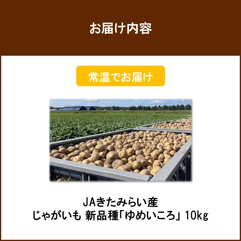 【予約：2026年9月上旬から順次発送】JAきたみらい産 じゃがいも 新品種「ゆめいころ」 10kg ( じゃがいも いも 芋 JA 北海道産 )【236-0001】