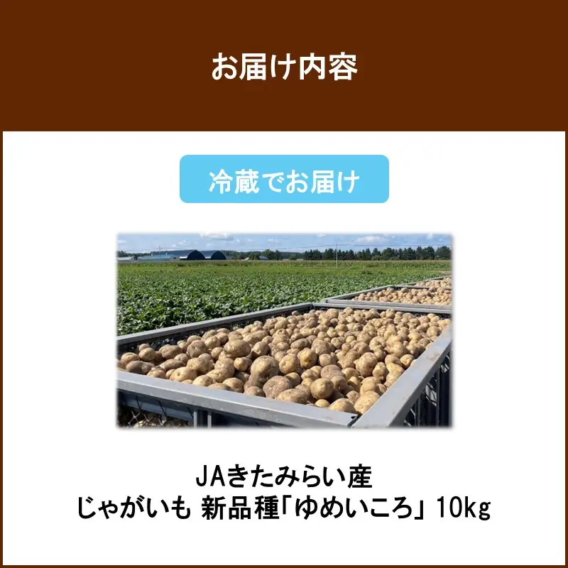 【予約：2026年12月～2027年1月発送】JAきたみらい産 じゃがいも 新品種「ゆめいころ」 10kg 冷蔵 ( じゃがいも いも 芋 JA 北海道産 )【236-0002】