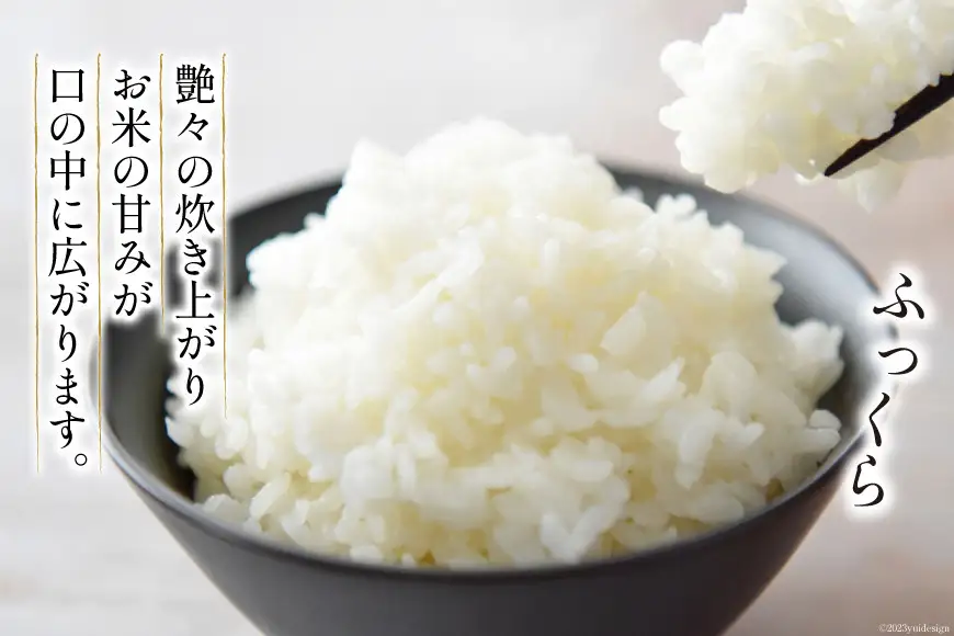 米 新米 令和8年 ゆきさやか 5kg