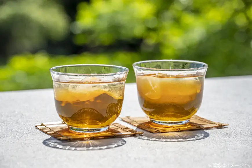 お茶 麦茶 ティーバック 12個