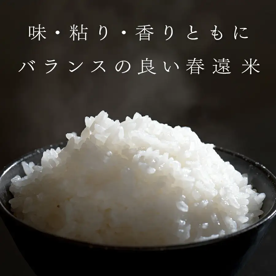 令和8年新米 ヒノヒカリ 春遠米 2kg