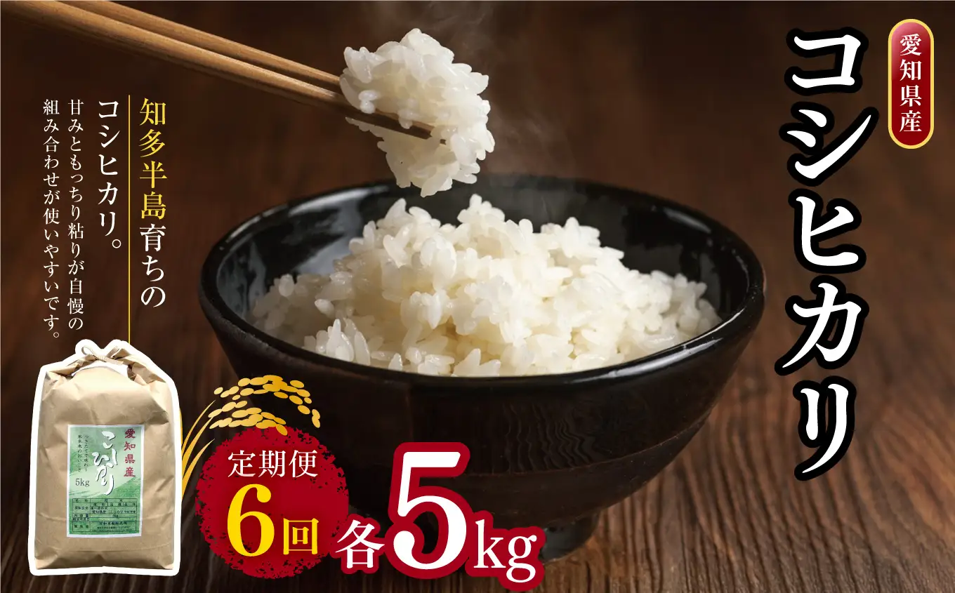【定期便6回】愛知県産 コシヒカリ 5kg｜米