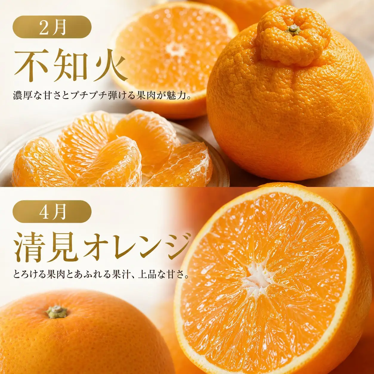 定期便【全6回/2・4・6・8・10・12月】紀州和歌山産旬のフルーツセット(不知火・清見・スイカ・桃・柿・みかん)全6回 / 定期便 フルーツ みかん オレンジ すいか 桃 ジュース みかん 柿 完熟みかん【tkb454】 