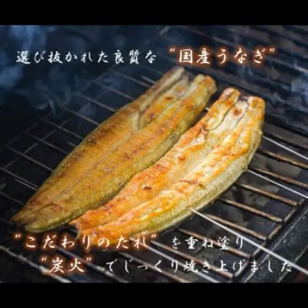 【国産うなぎ】きざみうなぎ　蒲焼　60g×4袋　三河一色産【配送不可地域：離島】【1758899】