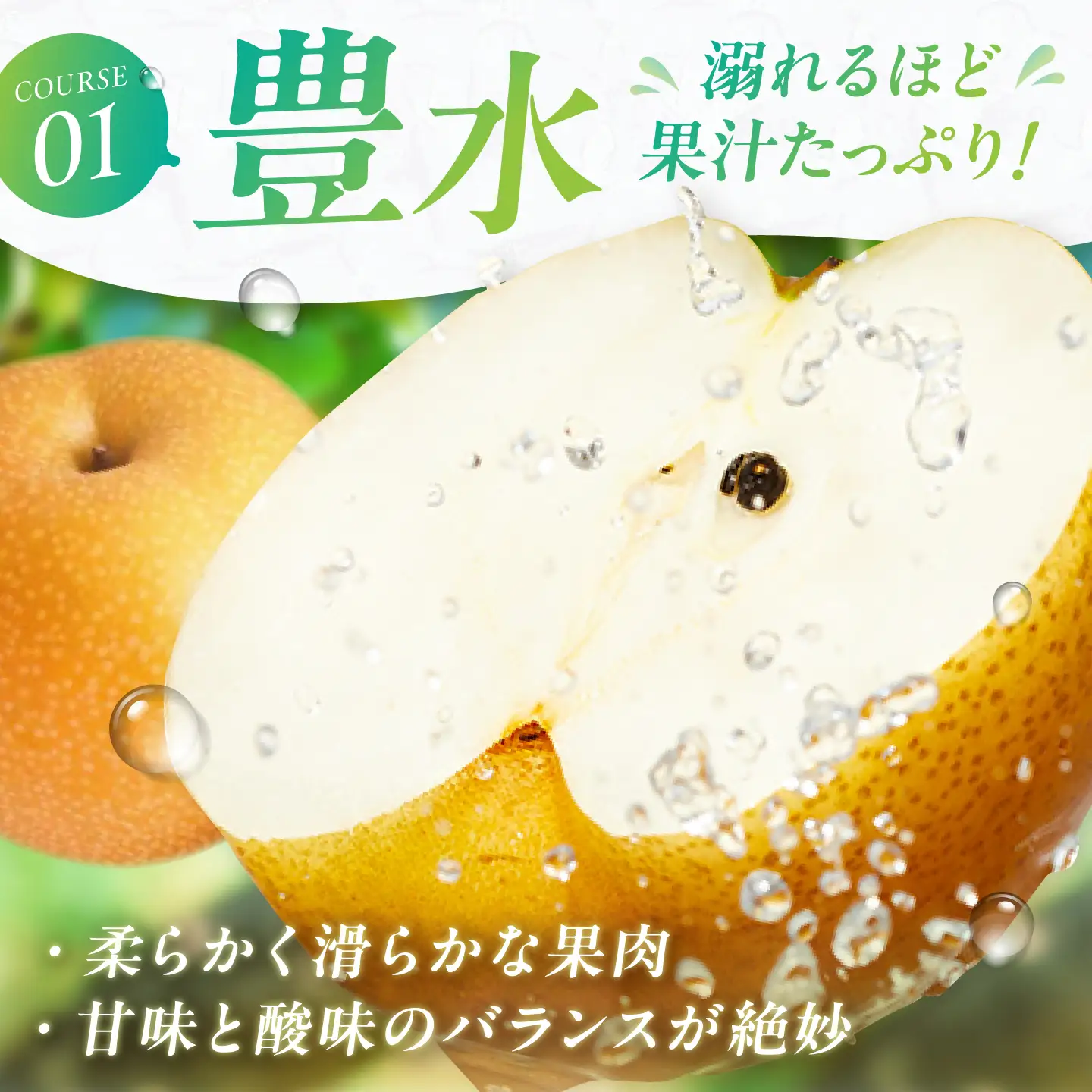 【2回定期便】 梨食べ比べ定期便 (豊水5kg/新興5kg) 広川町 / JAふくおか八女農産物直売所どろや[AFAB131]