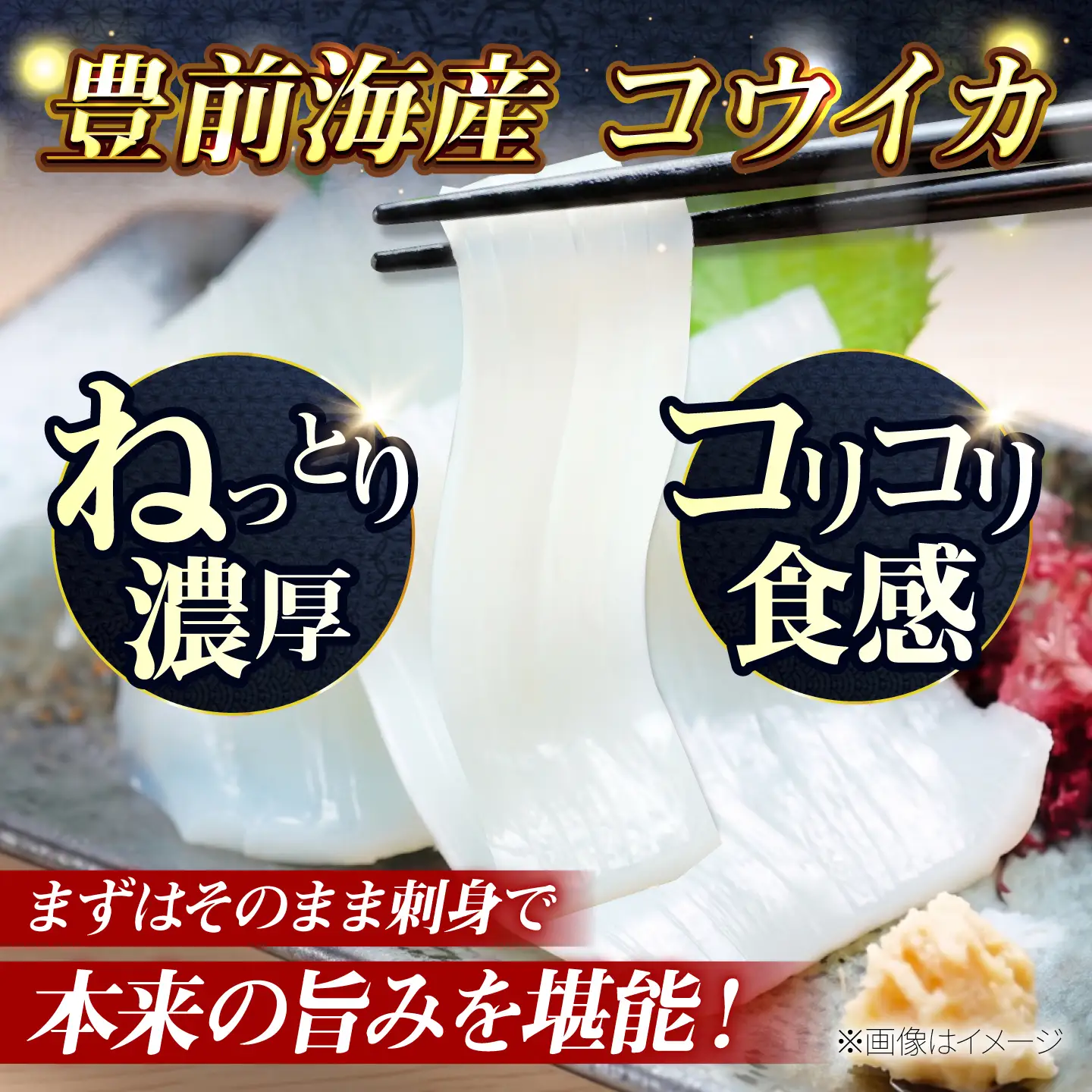 【先行予約】コウイカ 約3kg (7〜15杯)【2027年3月下旬以降順次発送】《築上町》【明青丸】いか イカ 烏賊[ABCB008]