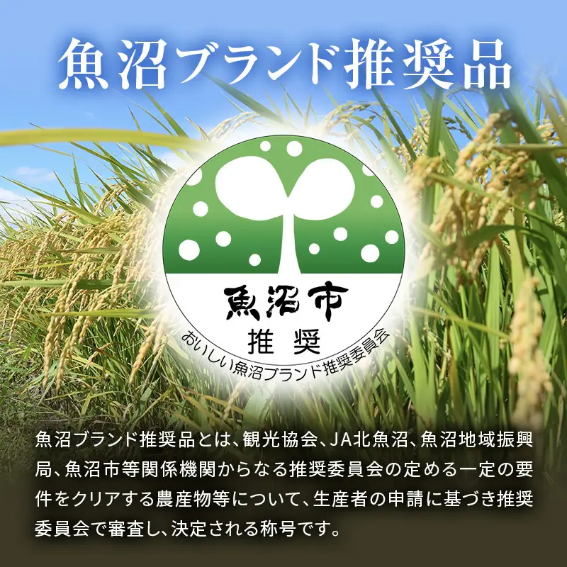 【令和8年産 先行予約】 精米 10kg 魚沼産コシヒカリ こしひかり 農薬化学肥料栽培期間中不使用・生態系保全・再生可能エネルギー・エコファーマー・生産工程管理