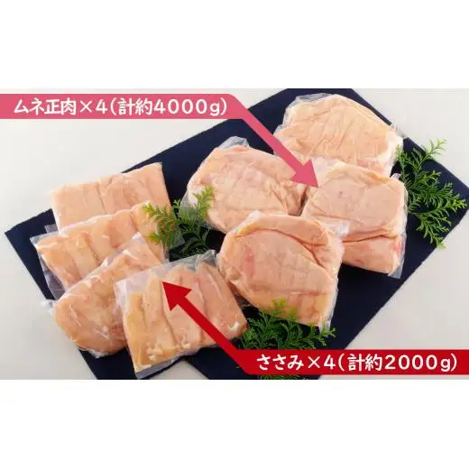【 ながさき福とり 】 鶏肉 もも ・ むねセット 6kg 鶏肉 B304b