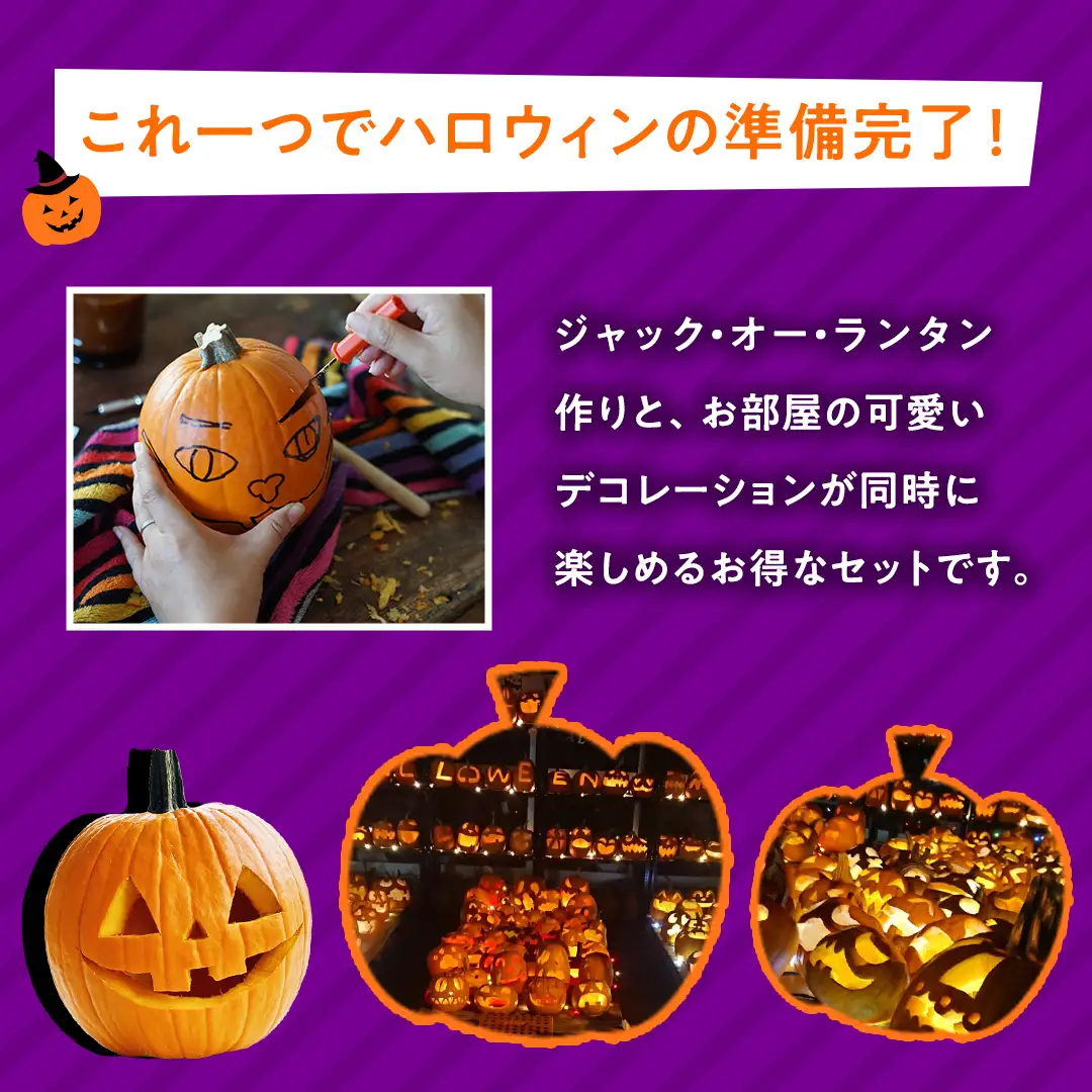ハロウィンかぼちゃ バラエティセット 約5kg (CG002)