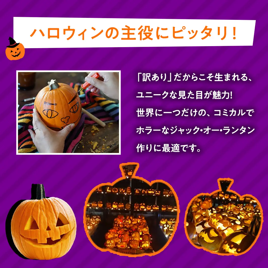 【訳あり】ハロウィン かぼちゃ 15個 ボリュームセット 計1kg Sサイズ (CG003)