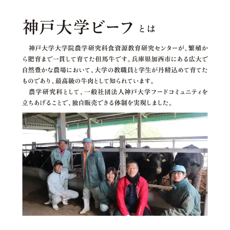 神戸牛 神戸大学ビーフ 切り落とし お試し 神戸牛【300g】