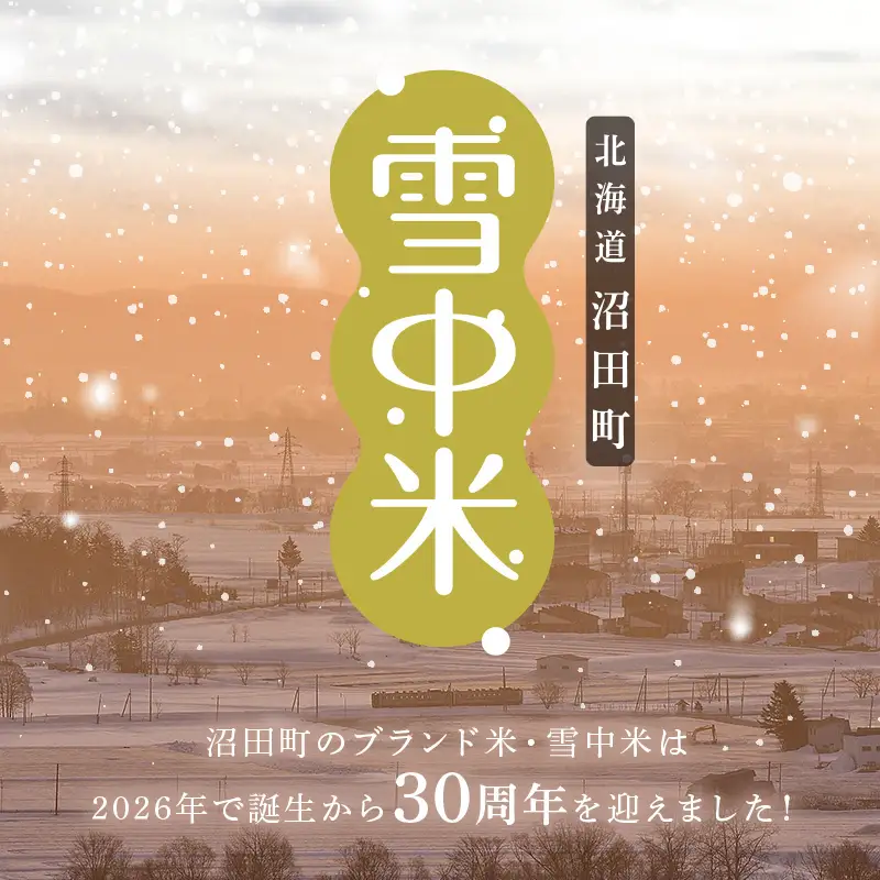 令和8年産【定期便3ヶ月】ななつぼし 精米 5kg（5kg×1袋）【10月発送】 開始 雪冷気 籾貯蔵 雪中米 北海道 nr-2175