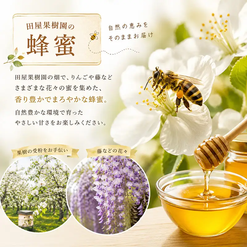 蜂蜜 500g 種類お任せ はちみつ ボトル 田屋果樹園 taya024 蜂蜜