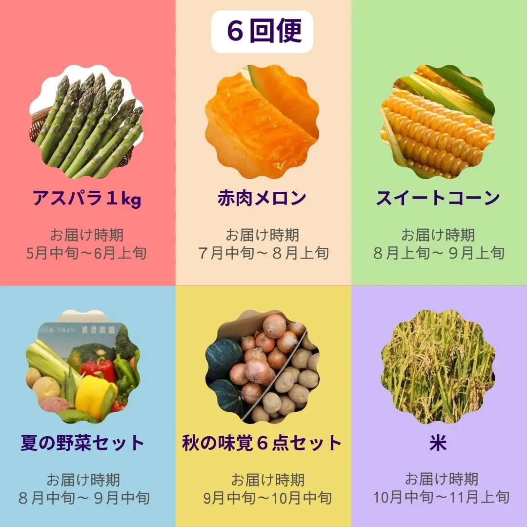 野菜 定期便【令和9年産 先行予約】6回便 野菜セット 美景農園