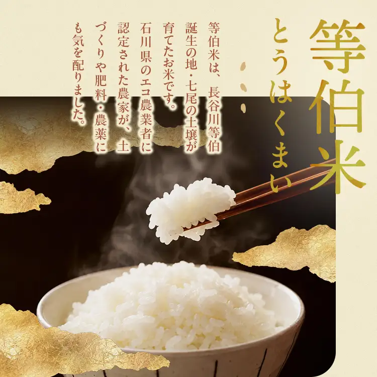 【令和8年産】等伯米コシヒカリ 5kg×1袋 ｜ 世界農業遺産に認定された『能登の里山里海』で育まれたお米 石川県 七尾市 能登 ※2026年10月～発送