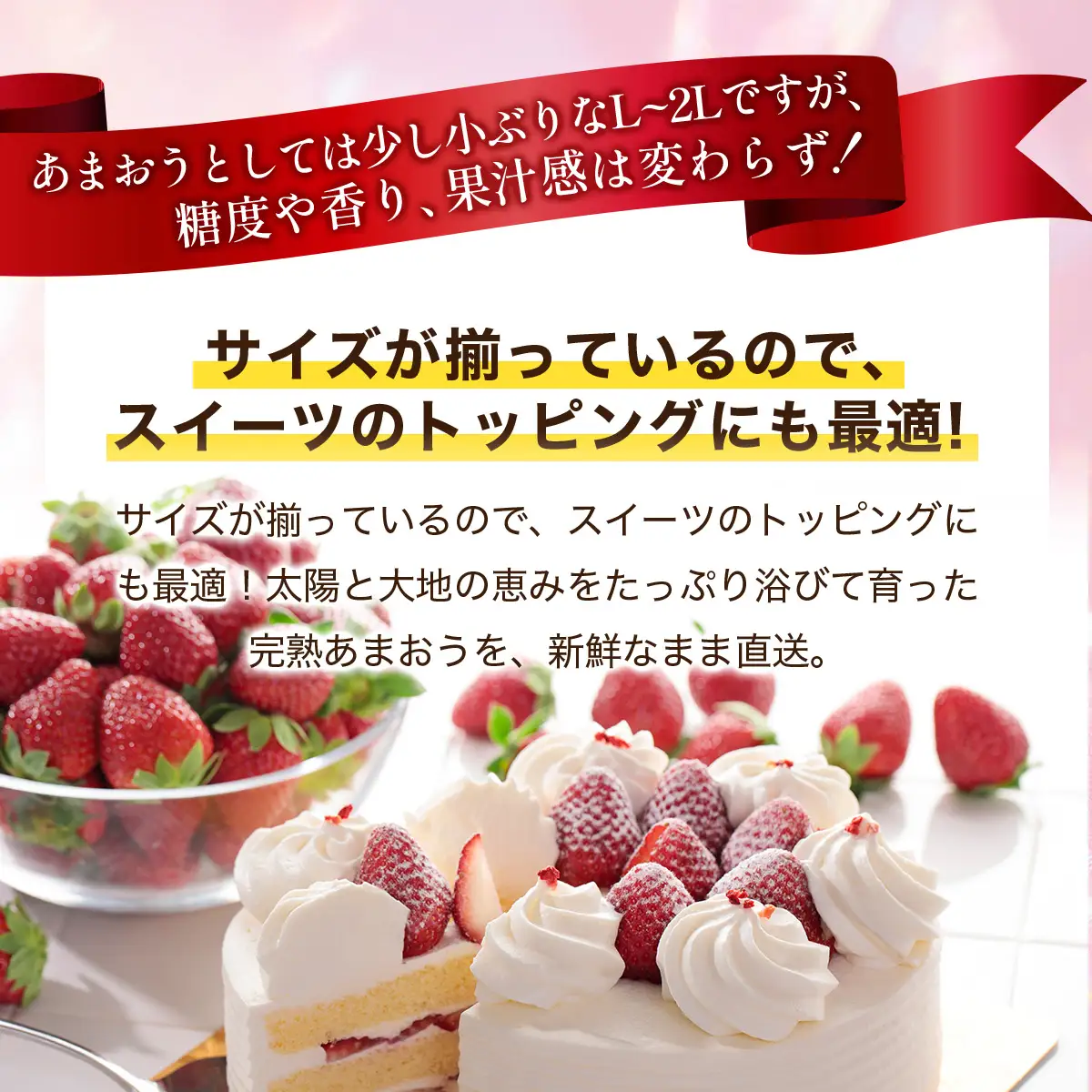 いちご 福岡県産 特別栽培 あまおう L~2Lサイズ（少し小ぶりサイズ）約1710g（約285g×6パック）【2～4月発送】
