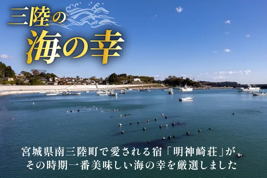 海鮮 7種 お任せ セット