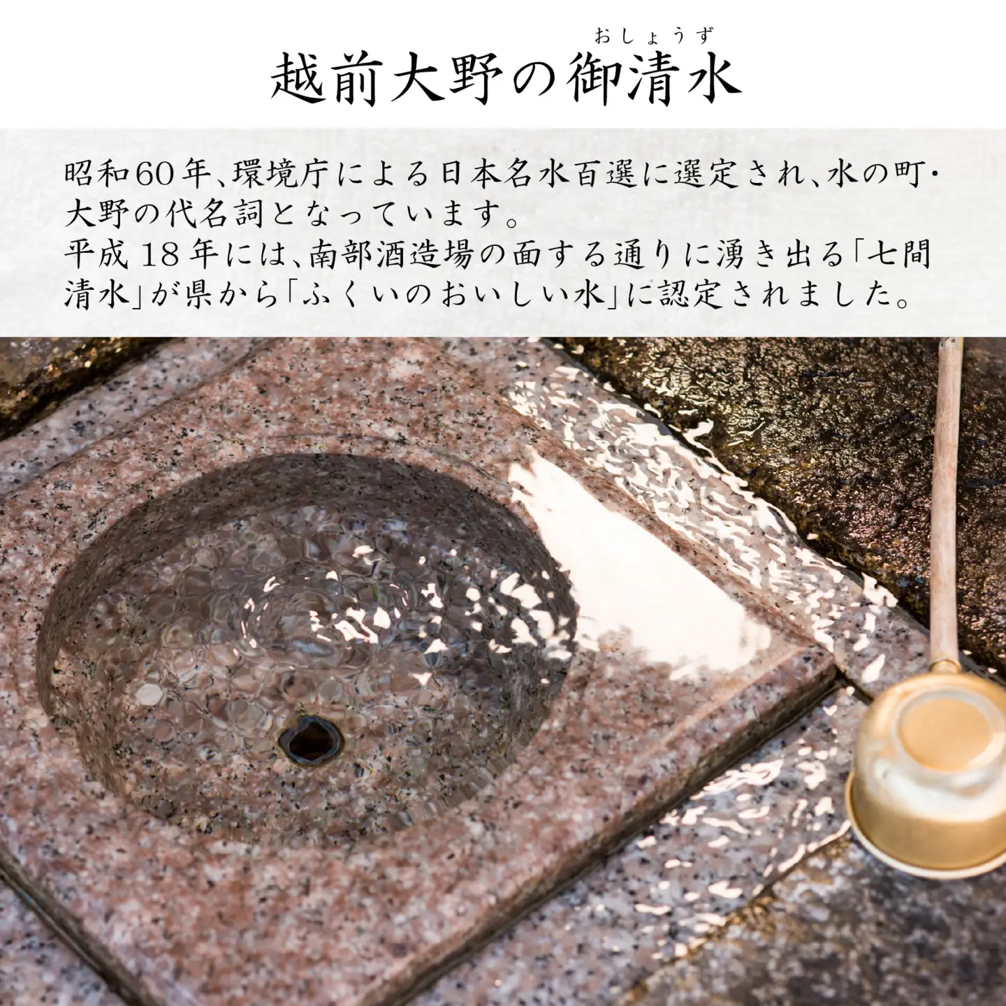 【3ヶ月連続お届け】越前大野の天然水　悠久のしずく PET500ml × 24本×3回配送　計72本