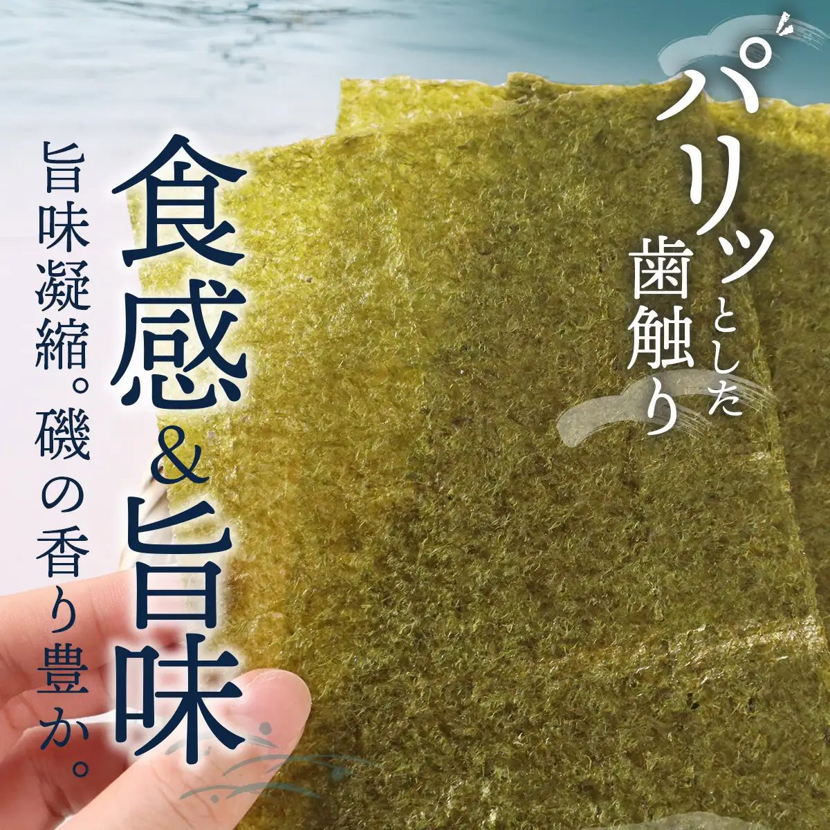 訳あり 有明海産 焼き海苔 半切り 100枚　181-C236