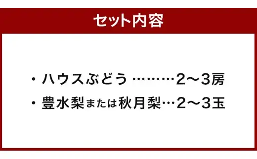 【先行予約】【2027年】種なし ハウスぶどう （2～3房） 梨 （2～3玉） セット 【2027年8月下旬より順次発送予定】 【春光園】 有機配合肥料使用 ぶどう ブドウ 葡萄 梨 なし 豊水梨 秋月梨 果物 フルーツ 詰め合わせ 福岡県 うきは市 冷蔵