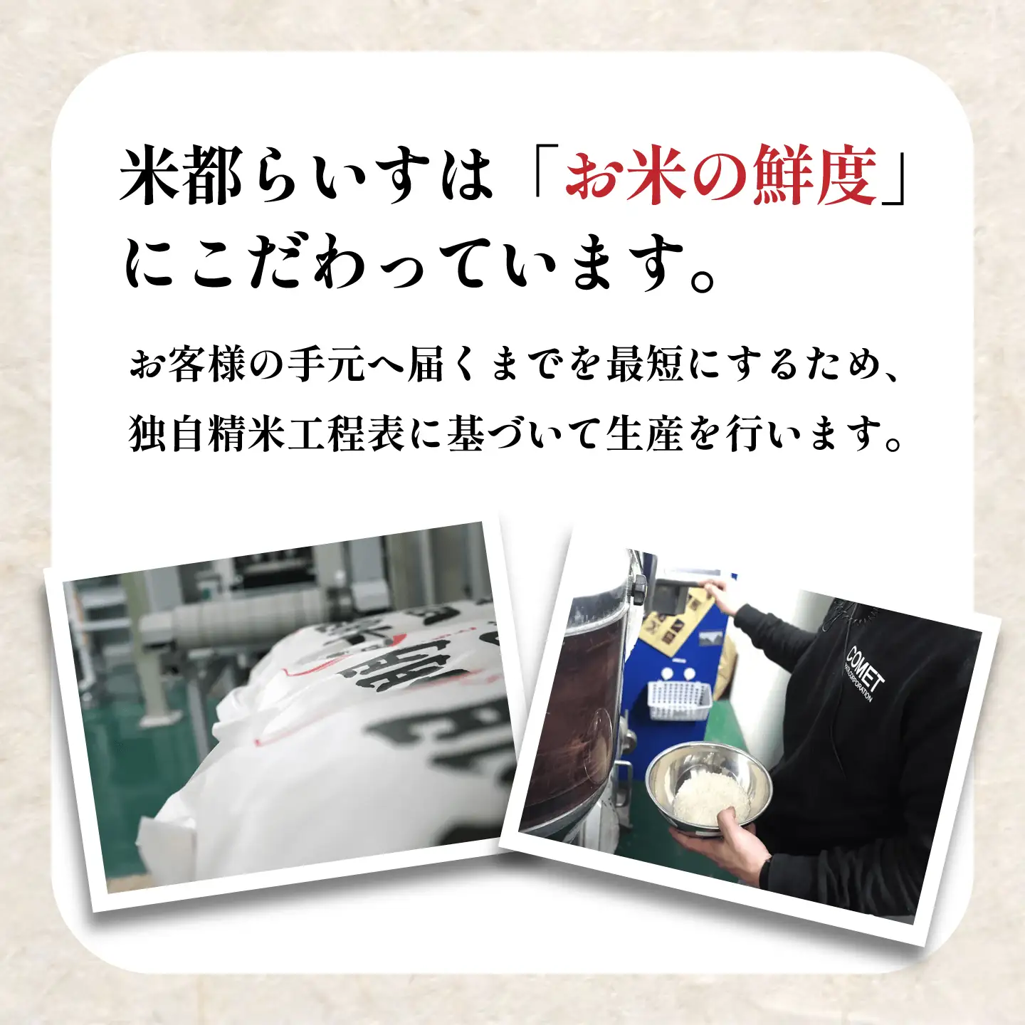 【3回定期便】 菊鹿 棚田米 10kg （5kg×2袋） 【ミヤタ 株式会社 】[ZAH017]