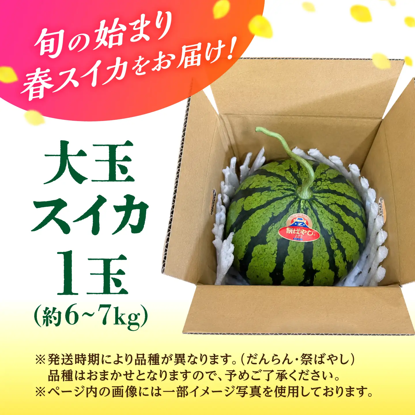 【先行予約】 春の大玉スイカ 約6～7kg（L） すいか 大玉 フルーツ 野菜 果物 山鹿市 【山下農園】[ZGA002]