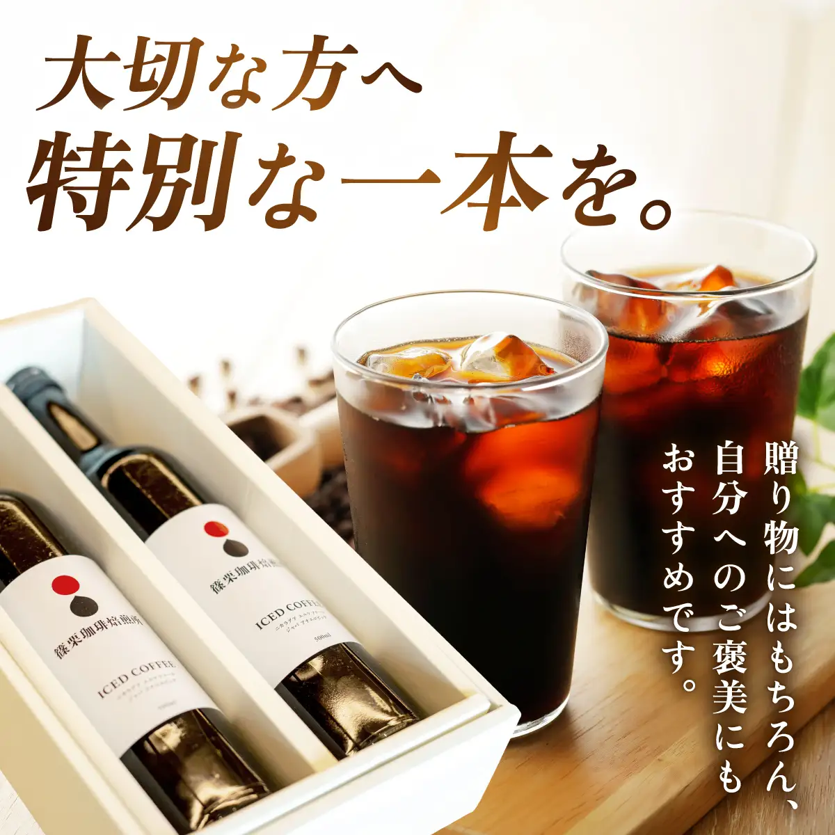 ボトルアイスコーヒー 500ml（箱入り）×2本【篠栗珈琲焙煎所】【AX06】 | ふるさと納税 アイスコーヒー ボトルコーヒー コーヒー 無糖アイスコーヒー 500ml 珈琲 スペシャルティコーヒー コーヒーギフト 箱入り お取り寄せ 人気 冷蔵 冷やして飲む 自家焙煎 贈答用 カフェ 高級飲料