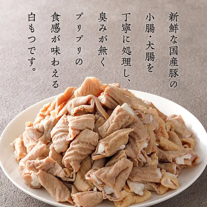 国産豚 小腸・大腸 ボイルカット ＜計2kg＞ 焼肉 ホルモン ボイルホルモン 豚ホルモン もつ もつ煮 業務用 冷凍 小分け 【スターゼン】【ms24-05】