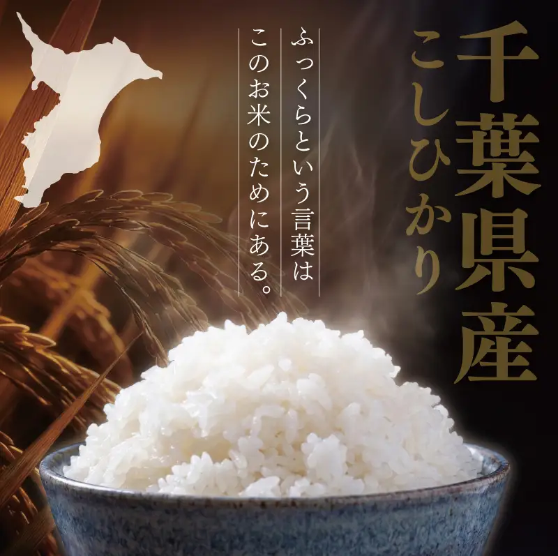 無洗米 コシヒカリ 5kg 令和7年産 精米 コシヒカリ