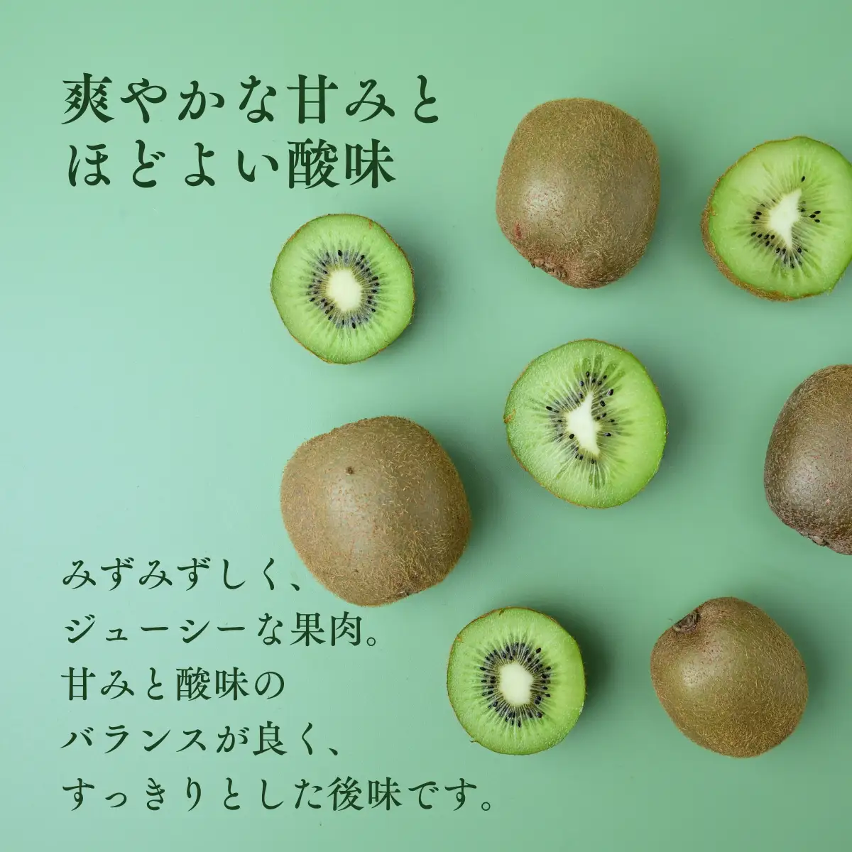 【先行受付】キウイフルーツ 30～33玉 約3.6kg 定数詰 M～L