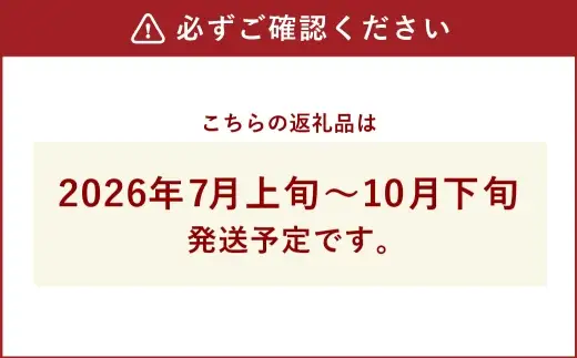 ミニトマト 約1kg × 2箱 ミニ トマト とまと プチトマト 野菜 やさい サラダ 国産 福島県産 冷蔵 【 2026年7月上旬から10月下旬発送予定 】
