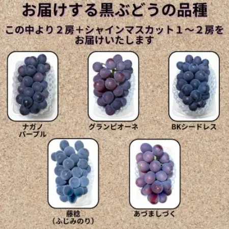 【先行受付】大粒ぶどう3～4房　合計1.8Kg以上(黒ぶどう2房+シャインマスカット1～2房)【配送不可地域：離島】【1762504】