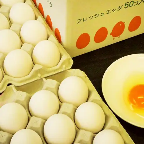 卵吾妻十二ヶ原の卵堀田養鶏場卵【50個】