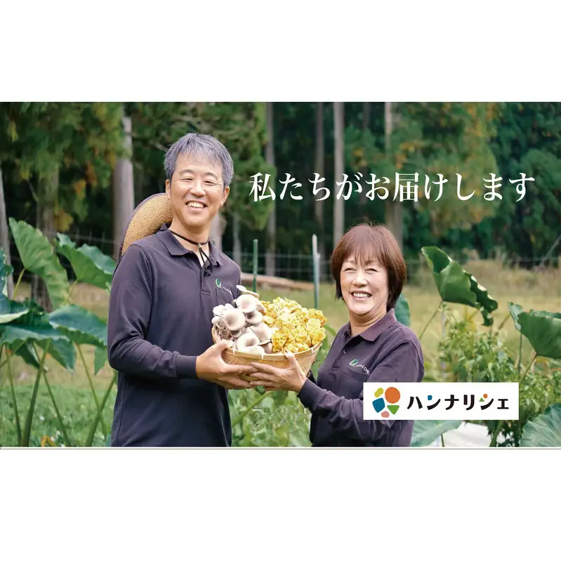 タモギタケ 有機JAS 720g 6パック タモギタケ