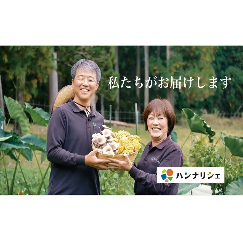ヒラタケ きのこ 有機JAS 840g 6パック ヒラタケ