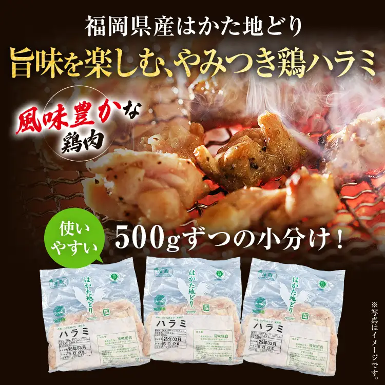 はかた地どり  ハラミ 1.5kg (500g×3パック) はかた地どり