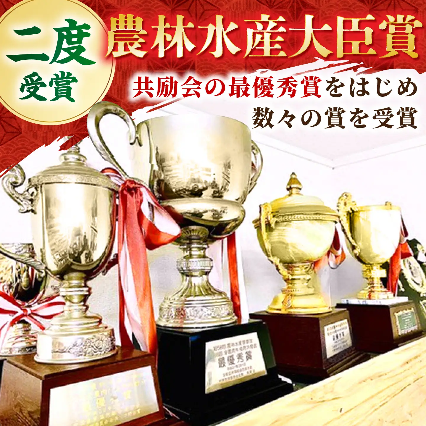 【2度の農林水産大臣賞】佐賀牛 赤身スライス 600g（300g×2パック）【田中畜産牛肉店】黒毛和牛 しゃぶしゃぶ すき焼き[HBH168]