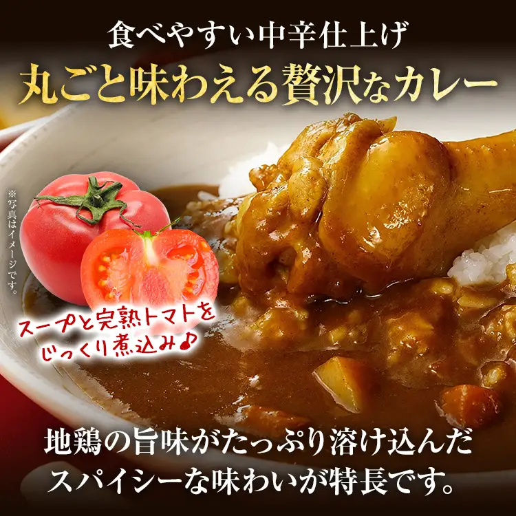 はかた地どり 手羽元カレー 中辛 (レトルト・3食) はかた地どり