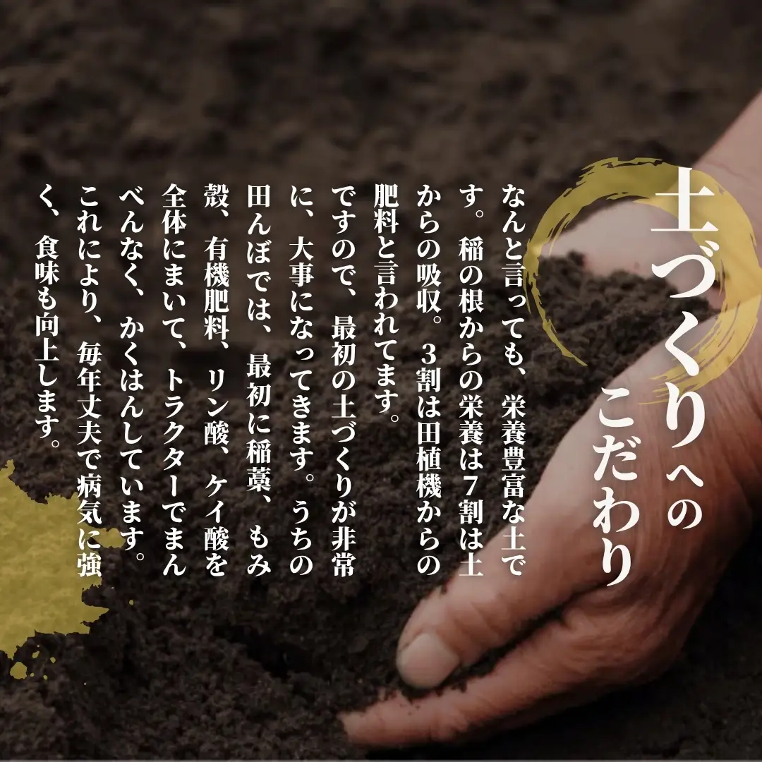 【定期便3回】令和8年産 新米 ゆきん子舞 5kg×3回(計15kg) お米ソムリエ 先行予約 | 新潟県産 米 五泉市