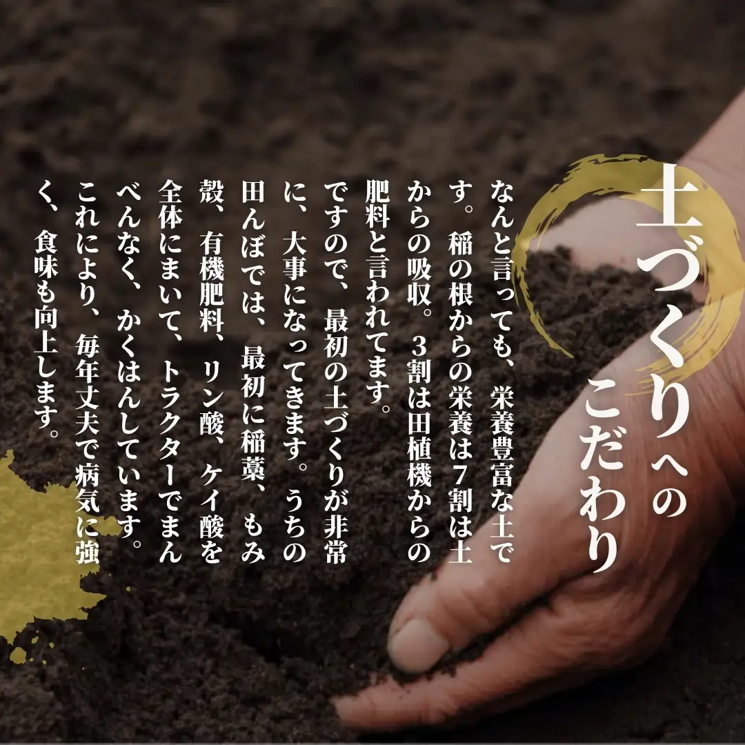【先行予約】令和8年産 新米 3種食べ比べ 6kg(コシヒカリ・新之助・いのちの壱 各2kg) | 新潟県産 米 五泉市