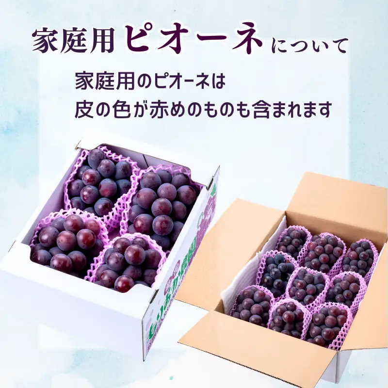 【家庭用】 もりおか農園のよろこびぶどう ピオーネ 約5kg 7～13房 【先行予約 2026年9月上旬から順次発送】