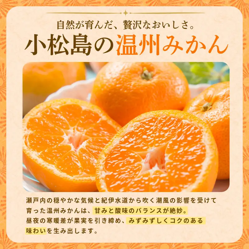 【2026年10月下旬順次発送】　みかん 5kg 温州みかん S~Lサイズ 小松島市