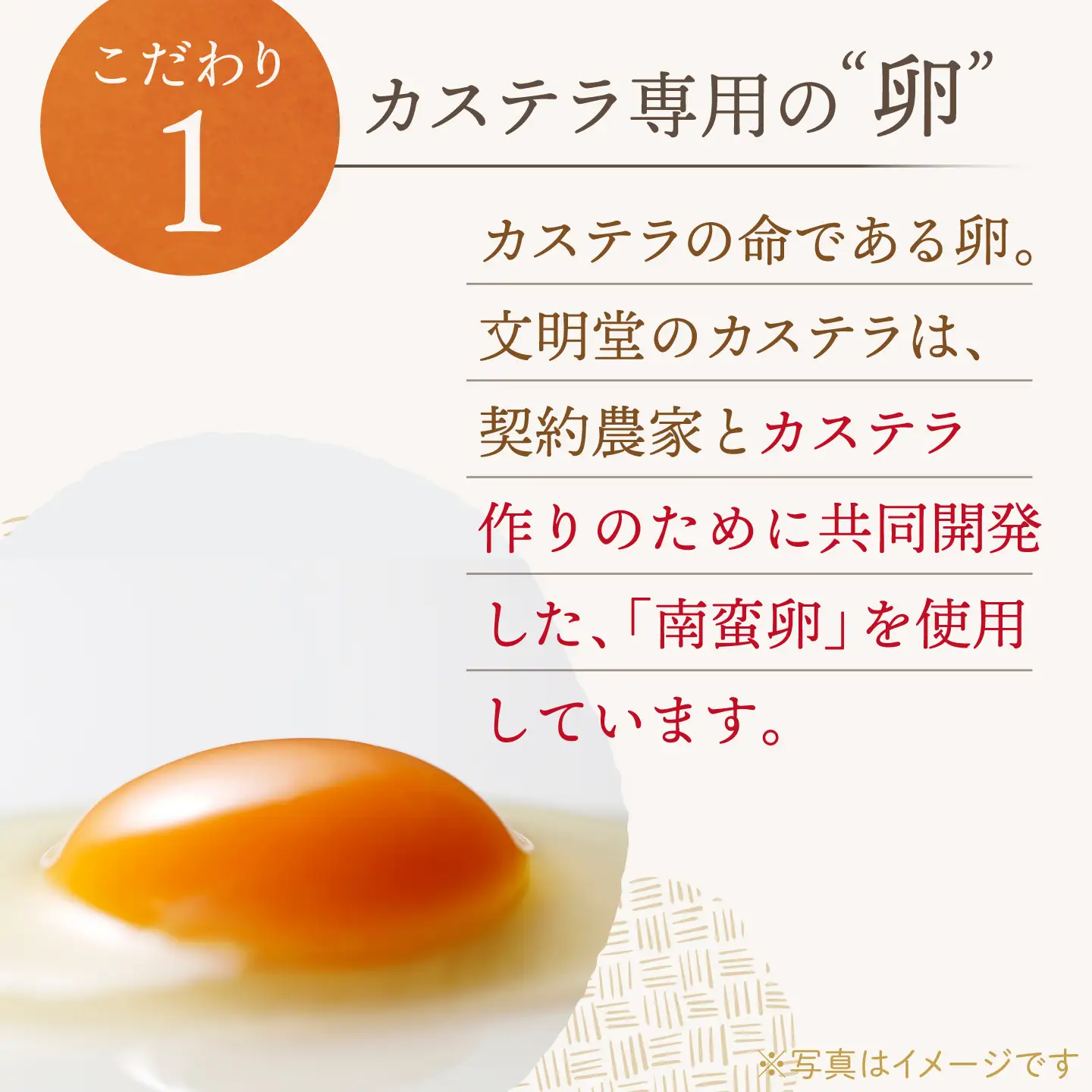 【全12回定期便】【こだわりの逸品】 長崎カステラ ［1号］（1号10切入×1本入）【文明堂総本店】[QAU037]