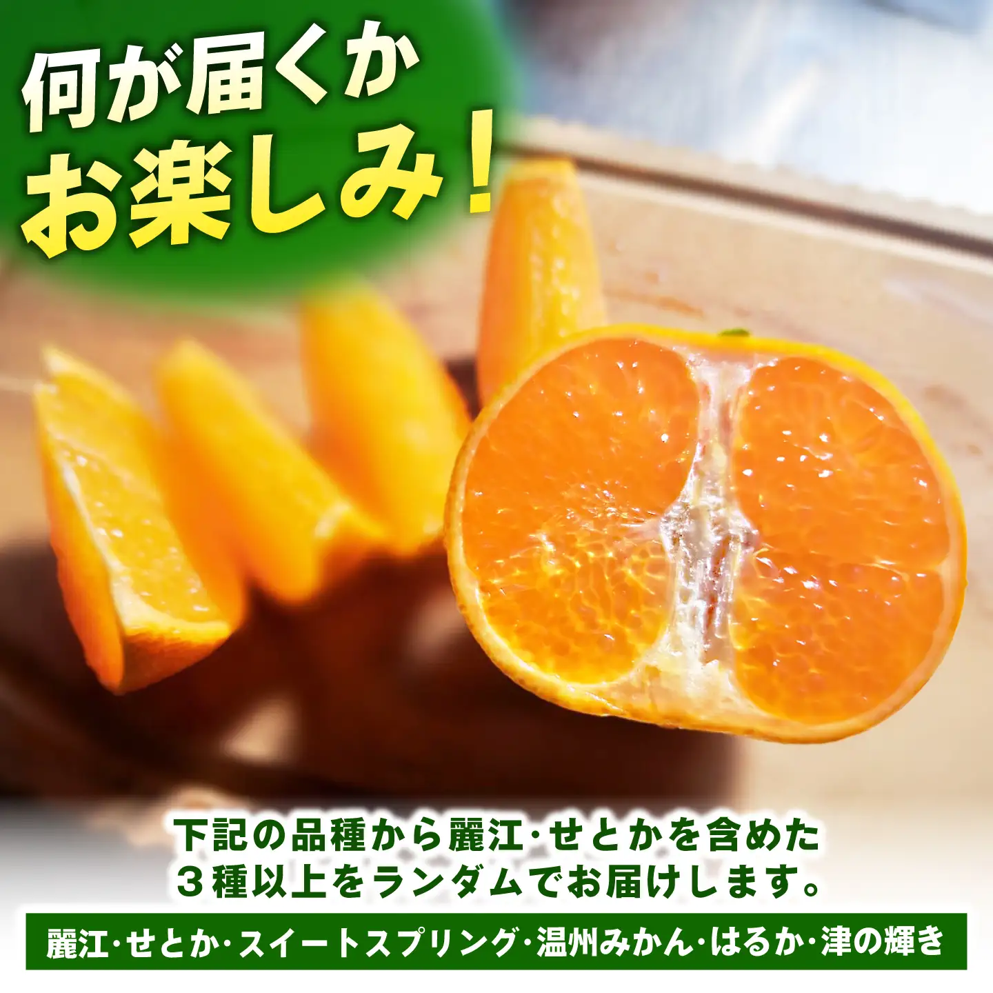 【先行予約】壱岐産みかん 5kg [JHE001] ミカン フルーツ