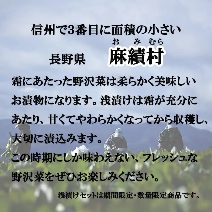 信州麻績村 浅漬け 野沢菜 詰め合わせセット 期間限定