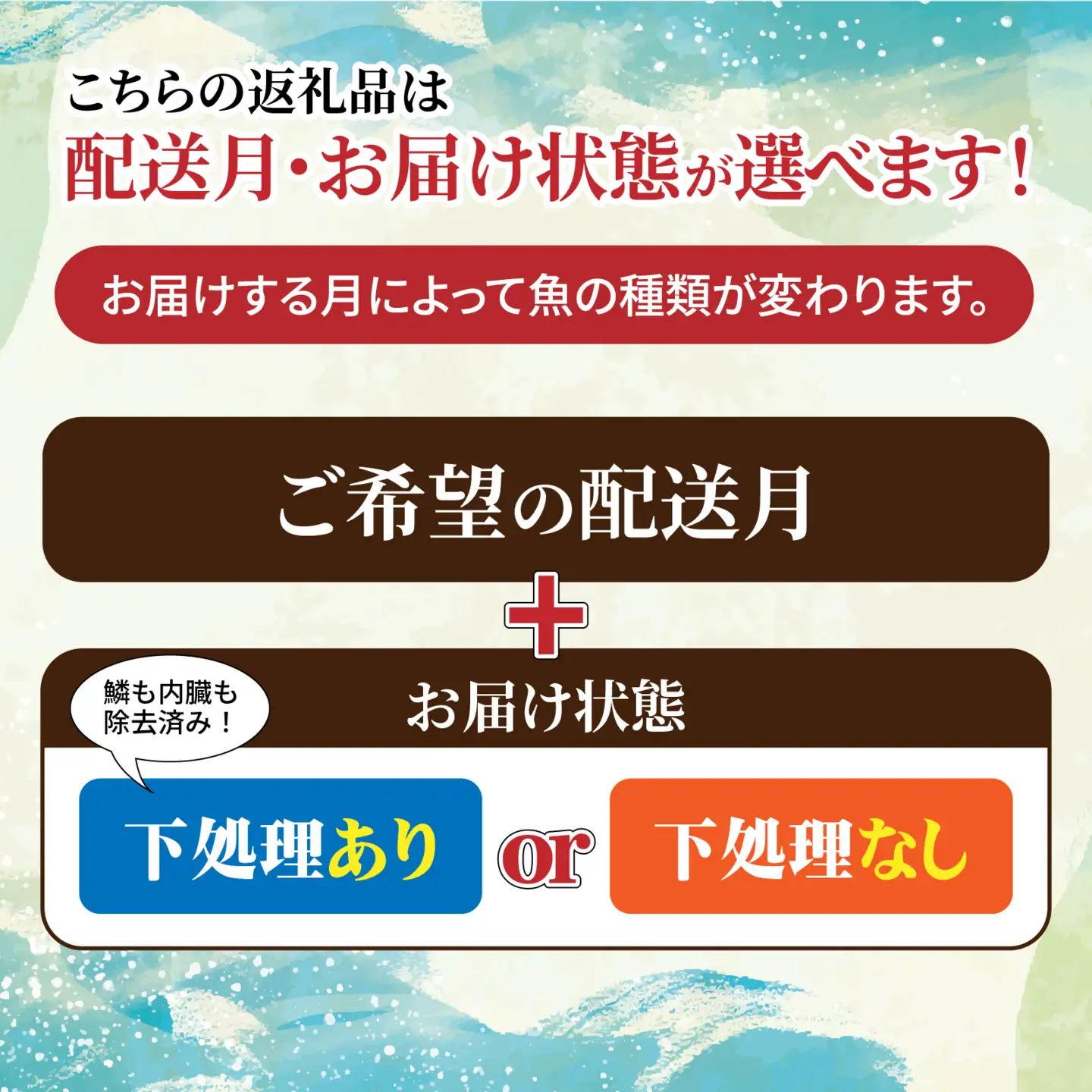 若狭湾鮮魚セット（下処理あり）おまかせ3kg以上（3～6魚種）【1月配送】  