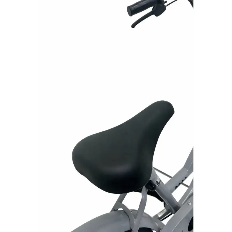 自転車 キッズサイクル 「WISLEY」 AEONBIKE 店頭引換券 【イオン九州株式会社 AB唐津店】
