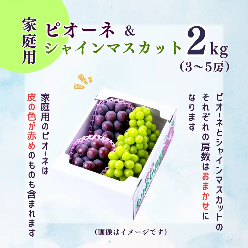 【家庭用】 もりおか農園のよろこびぶどう ピオーネ＆シャインマスカット 約2kg 3～5房 【先行予約 2026年10月上旬から順次発送】