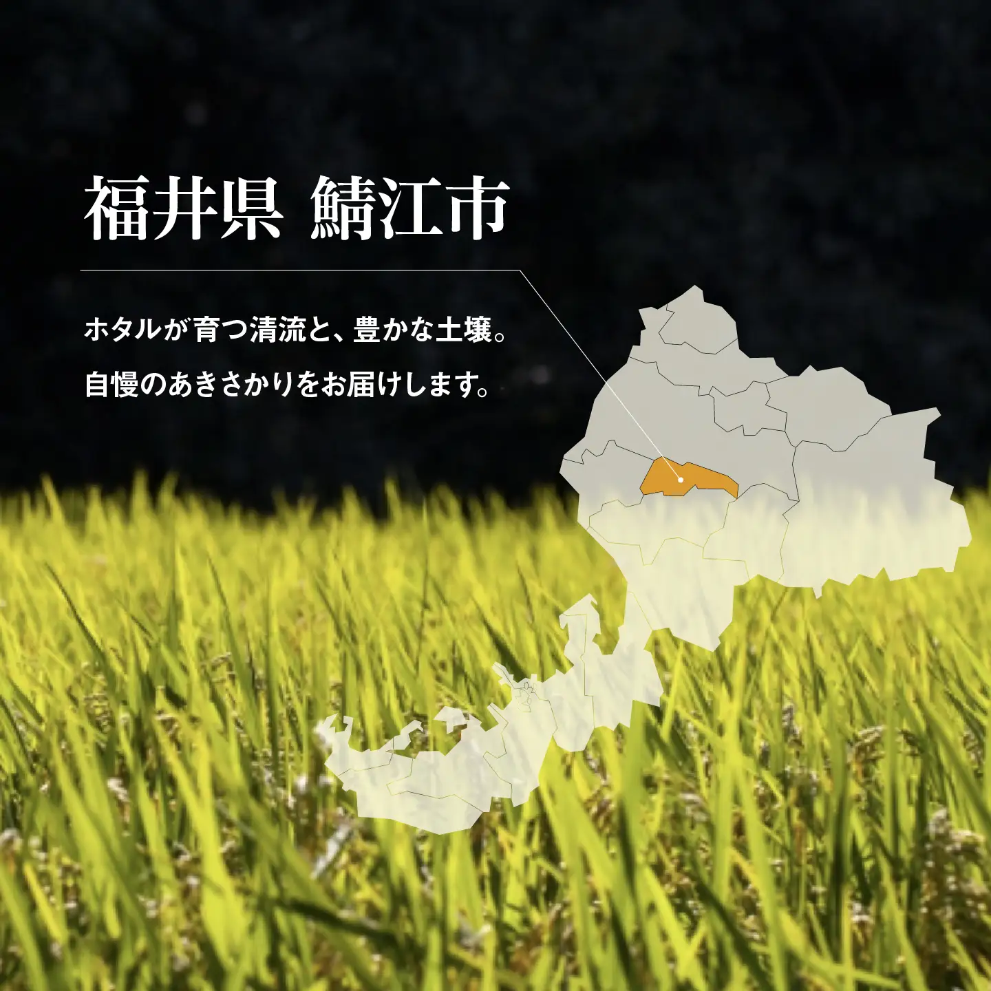 令和7年産 あきさかり 10kg（5kg×2袋）　お米　精米　